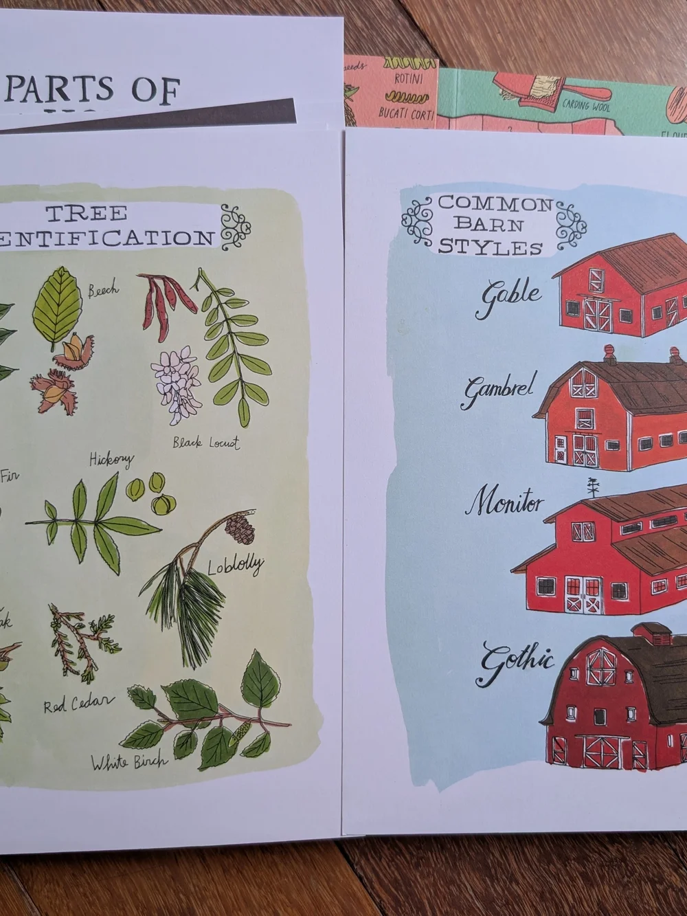 Julia Rothman Nature, Farm & Food Anatomy Boxed Set - Multi 3 Books